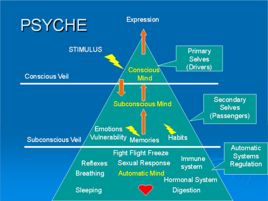 Model of the Psyche